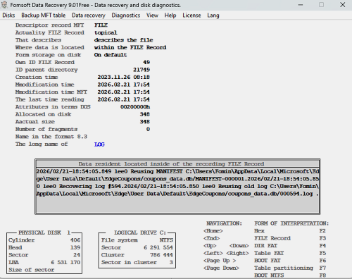 An example of a FILE Record describing a resident file..