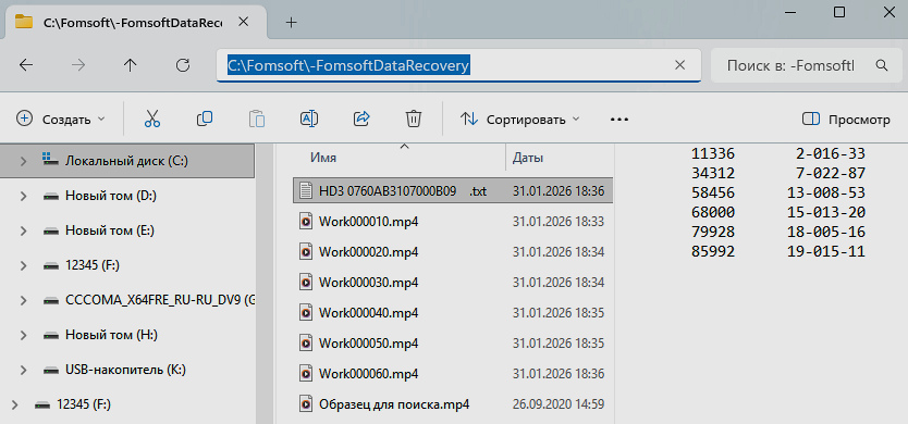 The search result for a given area of the hard disk.